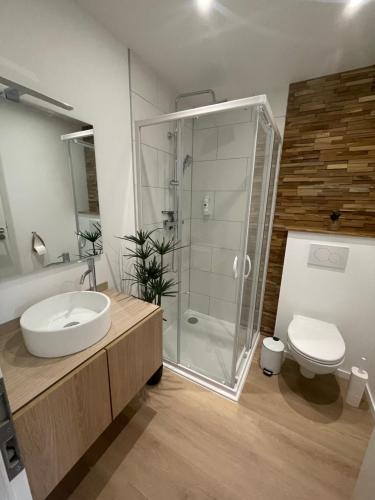 une salle de bain avec une douche, un lavabo et des toilettes dans l'établissement Séjour détente - Appart'hôtel n 1 avec jaccuzi, piscine et petit-déjeuner, à Chouzelot