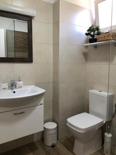 a bathroom with a toilet and a sink at Apartments Zafira in Ohrid