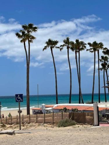 a group of palm trees on a beach with the ocean at Beach front apartment with stunning ocean views! in Costa Calma