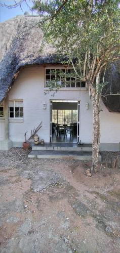 Hyena House 4180 – Photos 4