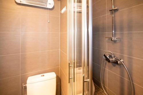 une salle de bain avec douche et toilettes dans l'établissement Sunshine, Zeedijk 335 , Studio, nieuw Westende Bad, à Middelkerke