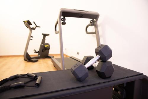 a gym with two exercise bikes and a treadmill at Hotel Ariston in Imperia