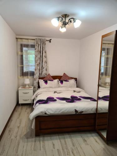 a bedroom with a large bed and a mirror at Casa Hera in Călimăneşti
