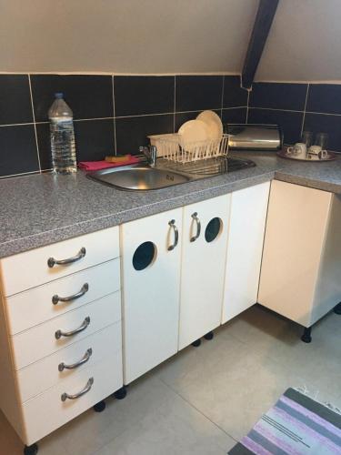 eine Küche mit einer Spüle und einer Theke in der Unterkunft Room near the center with bathroom and kitchen in Brüssel