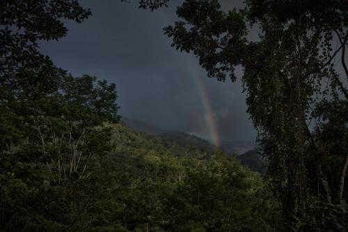 a rainbow in the middle of a mountain with trees at ACHIOTÉ Architectural Gem - Adults Only in Uvita