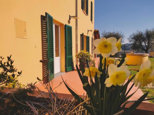Fotografie z fotogalerie ubytování B&B La Casetta v destinaci Montecarlo