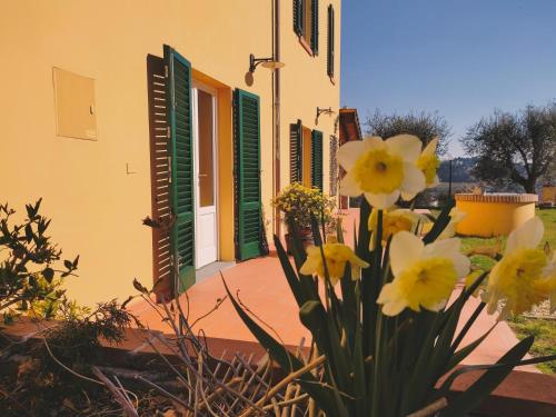 un bâtiment avec des volets et des fleurs verts et jaunes dans l'établissement B&B La Casetta, à Montecarlo