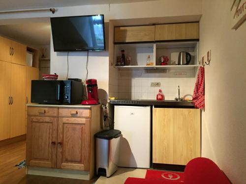 a small kitchen with a refrigerator and a tv on the wall at Studio face au Thermes in Le Mont-Dore