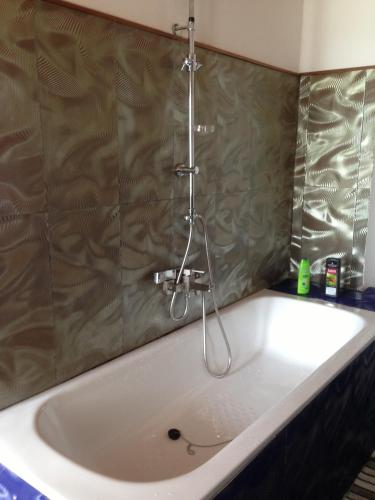 a bath tub with a shower in a bathroom at Iarimbato Hotel in Antananarivo