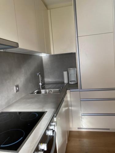 Virtuvė arba virtuvėlė apgyvendinimo įstaigoje Ferienwohnungen Obex