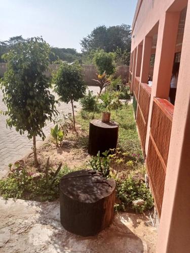a building with two tree stumps next to a building at Impovu Guest House in Kasane