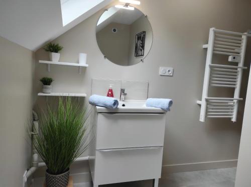 une salle de bain blanche avec un lavabo et un miroir dans l'établissement duplex appartement 70m2 atypique au cœur du Mans, au Mans