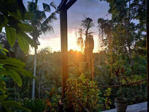 Κήπος έξω από το Villa Rimba Ubud