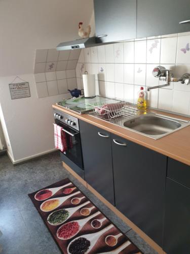 a kitchen with a stove and a sink and a rug at Calici in Emden