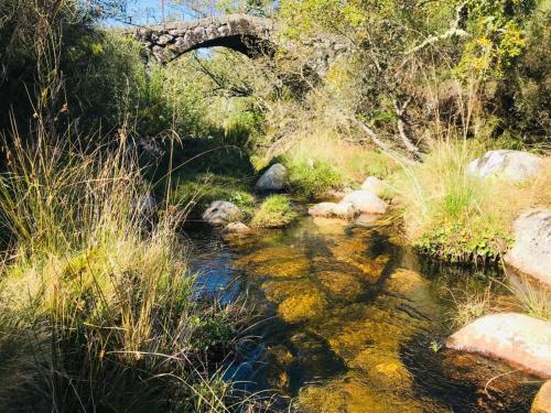 a stream with a bridge in the background at Janelas da Cabreira in Campos