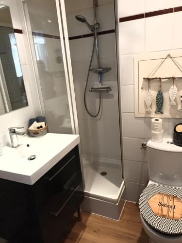 une salle de bain avec une douche, un lavabo et des toilettes dans l'établissement La Vicomté - Quai Henri IV - WIFI gratuit, à Dieppe