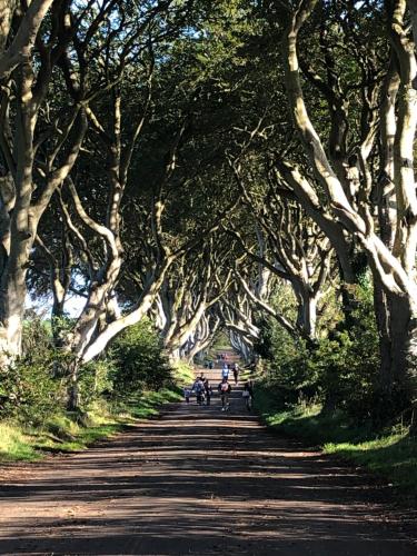 Gallery image of Slemish View - a beautiful setting in countryside in Ballymena