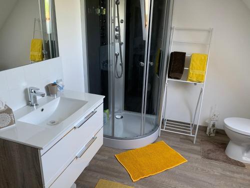 uma casa de banho com um chuveiro, um lavatório e um WC. em Le Mesnil Normand em Fort-Moville