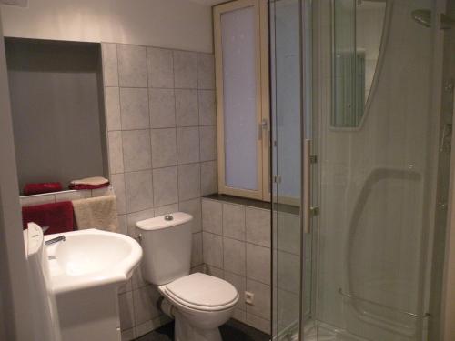 La salle de bains est pourvue de toilettes, d'une douche et d'un lavabo. dans l'établissement Le salinois, à Salins-les-Bains