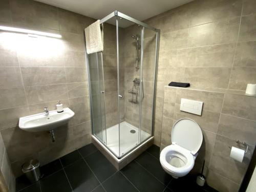 a bathroom with a shower and a toilet and a sink at Pension Stará hospoda in Dobřív