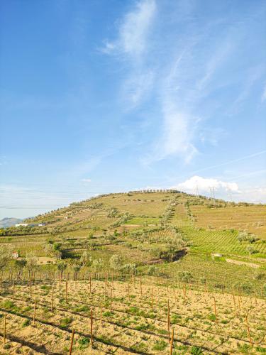 a vineyard on a hill with a blue sky at Quinta dos Padrinhos - Suites in the Heart of the Douro in Lamego