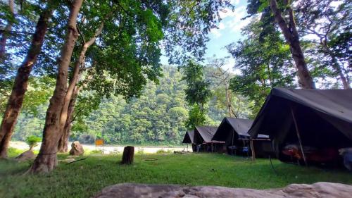 Galeriebild der Unterkunft Rishikesh Riverside Camping By PT in Rishikesh