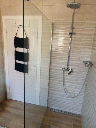 y baño con ducha y puerta de cristal. en Casa Lara en Kaštelir