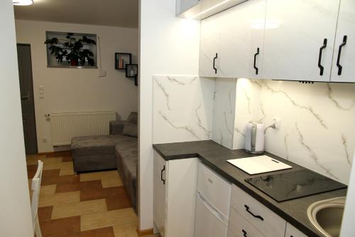 Kuchyňa alebo kuchynka v ubytovaní Apartament u PROROKA