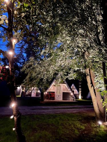 a house with lights in the yard at night at Camping Milk in Usmenieki