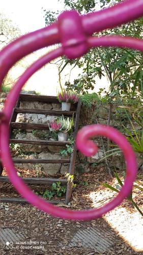 Φωτογραφία από το άλμπουμ του B&B La casina di Iris στο Αρέτσο