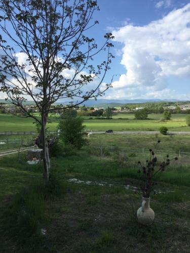 a vase in the middle of a field with a tree at Le petit chalus in Forcalquier