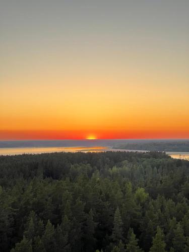 a sunset over a forest of trees with the sun in the sky at Camping Milk in Usmenieki
