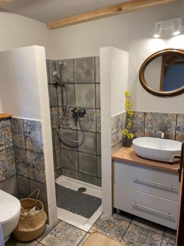 a bathroom with a shower and a toilet and a sink at Domy w Lipowie - dom żółty in Piecki