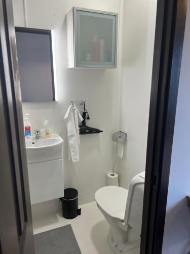 La salle de bains blanche est pourvue de toilettes et d'un lavabo. dans l'établissement Studio apartment in Hafnarfjordur, à Hafnarfjörður