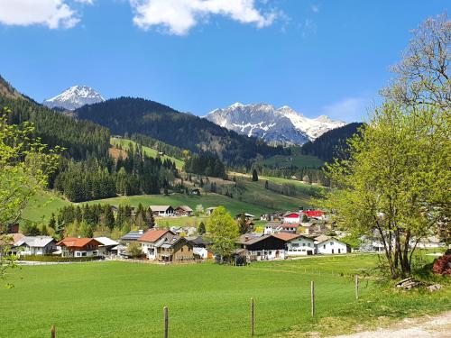 een dorp met een groen veld en bergen op de achtergrond bij Boutique Hotel Alpenhof in Sankt Martin am Tennengebirge