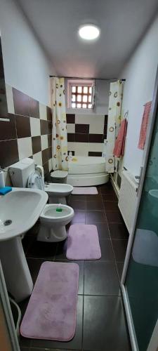 uma casa de banho com 2 lavatórios e 2 WC em Apartament La Denis em Bîrlad