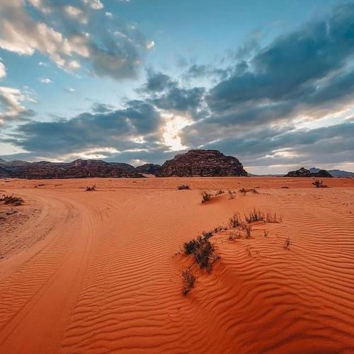 a desert with a dirt road in the desert at The sun of Wadi Rum in Wadi Rum