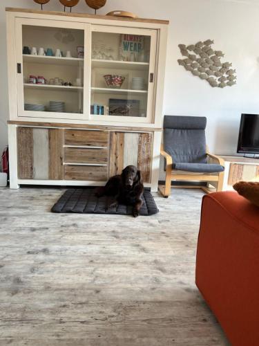 a dog laying on a rug in a living room at Vakantiehuisje Martina 26 in Vlissingen