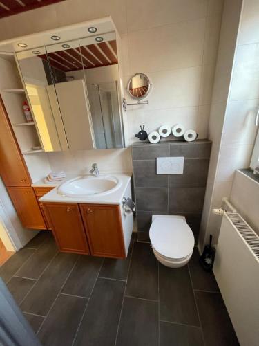 een kleine badkamer met toilet en wastafel bij Ferienwohnung Zobl in Füssen