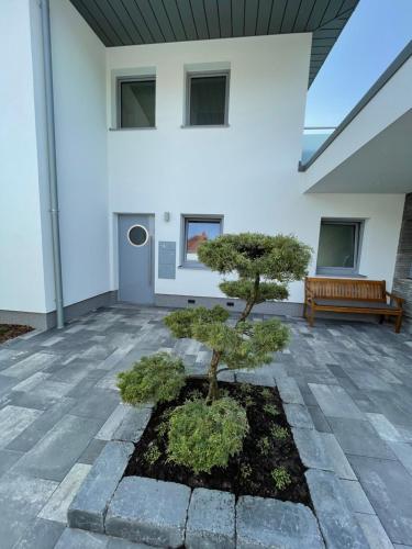 a bonsai tree in front of a building with a bench at Luv-Moderne Neubauwohnung in Strandnähe-Wallbox in Wremen