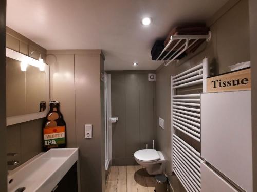 a small bathroom with a toilet and a sink at La Vieille Forge in Houffalize