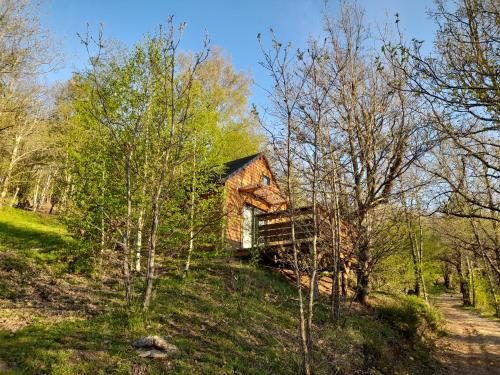 a log cabin on a hill in the woods at Mon chalet au cœur des Cévennes in Vébron