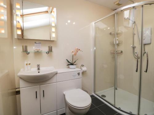 a bathroom with a shower and a toilet and a sink at Topiary Cottage in Staveley