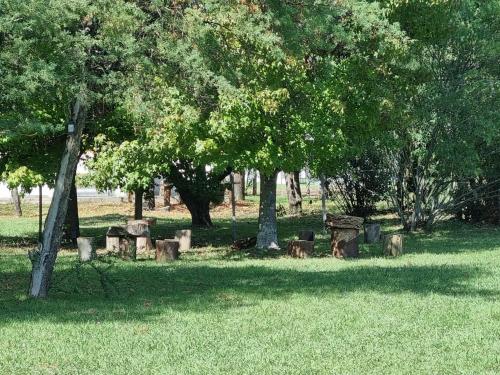 a park with trees and benches in the grass at Complejo Containers DF in Termas del Daymán