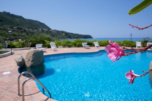 Imagen de la galería de Hotel Porto Pirgos, en Parghelia
