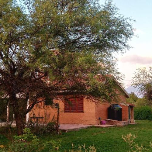 a brick house with a tree in front of it at Tacko Huasi in San Javier