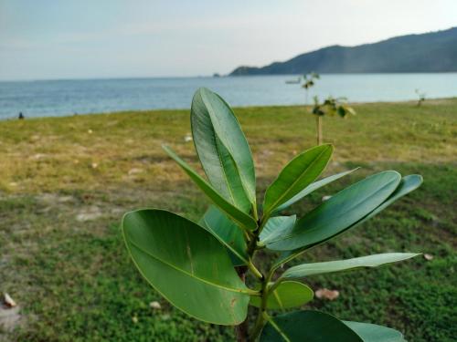 Φυσικό τοπίο κοντά σε αυτό το δωμάτιο σε οικογενειακή κατοικία