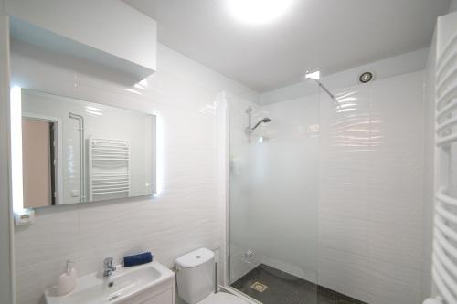 a bathroom with a shower and a toilet and a sink at Studio Cosy Cahors- proche Gare et Centre-Ville in Cahors