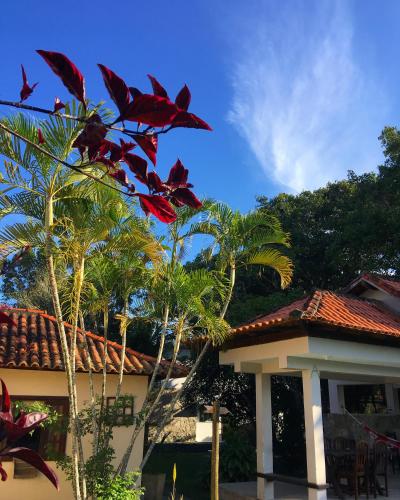 a house with a palm tree in front of it at Pousada OCEAN in Saquarema