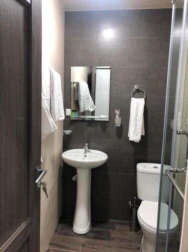a bathroom with a sink and a toilet and a mirror at The Friends in Yerevan